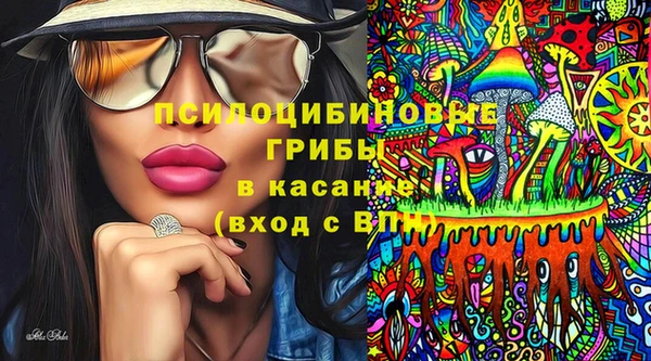спайс Сосновка
